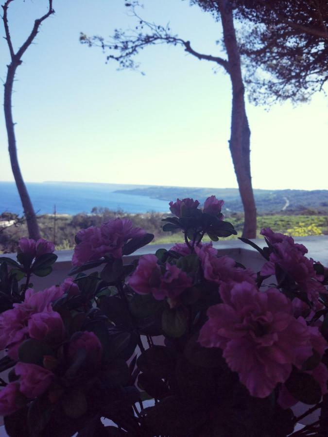 Villa Alda - Bilocali Vista Mare Santa Cesarea Terme Exterior photo